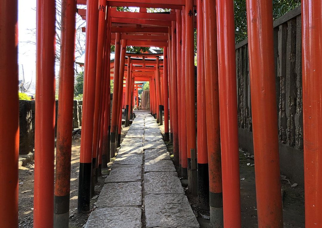 根津神社 千本鳥居